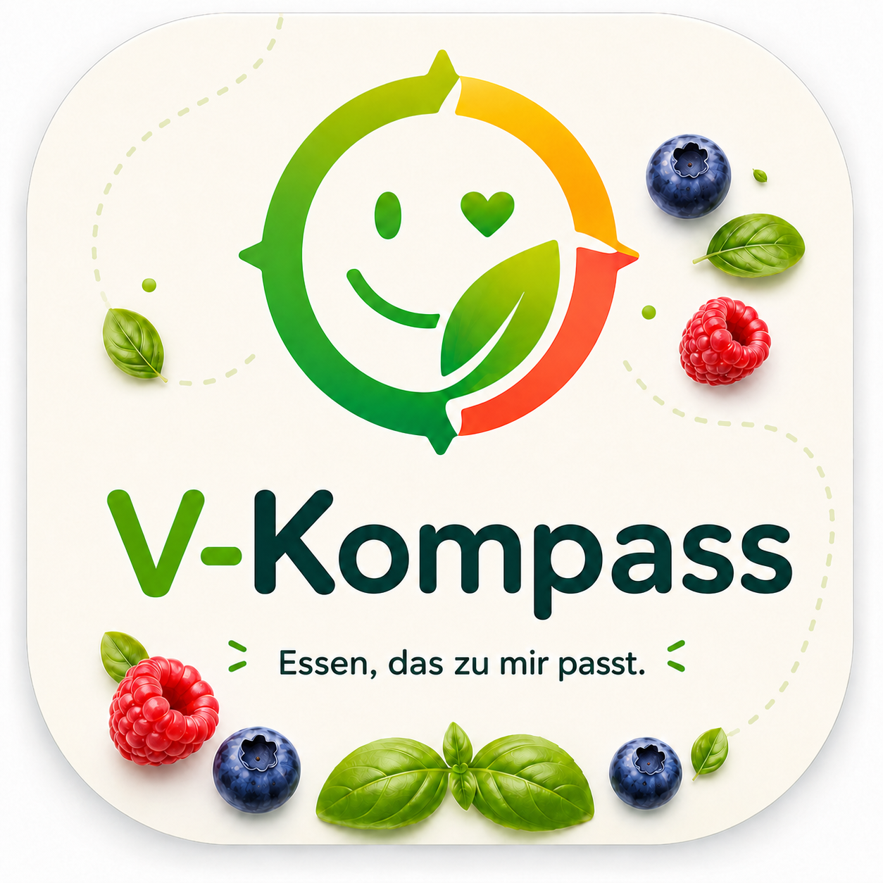 V-Kompass Logo